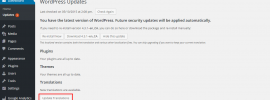 Wordpress Translations Updates